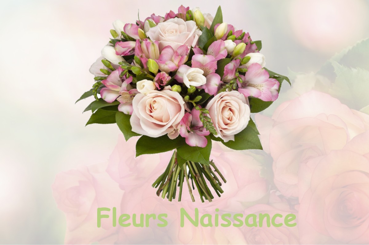 fleurs naissance LA-PENNE-SUR-L-OUVEZE