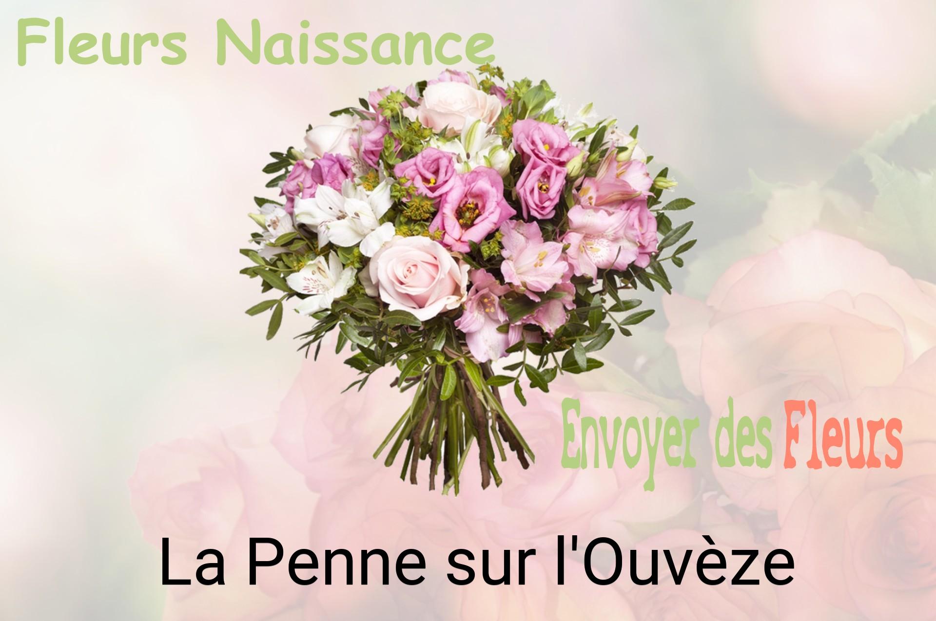 Bouquet de fleurs de naissance livré à La Penne-sur-l'Ouvèze